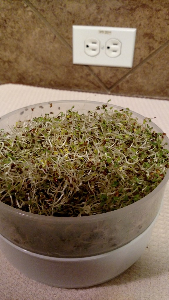 IMG_20150926_240819167